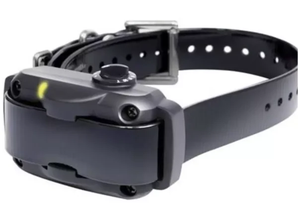 Collier Anti-Aboiement Dogtra Ys600