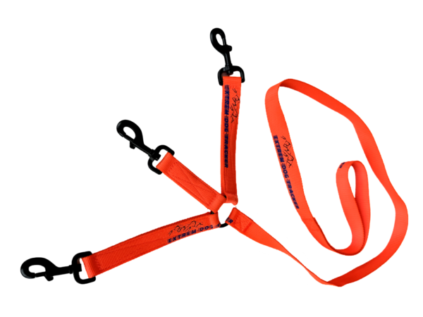Laisse tripleur EXTREM-DOG-TRACKER 124CM