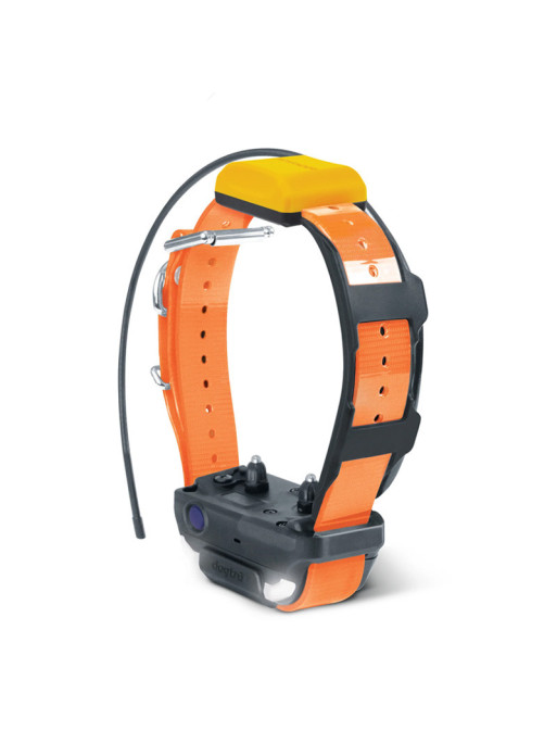 Collier supplémentaire Pathfinder 2 Dogtra