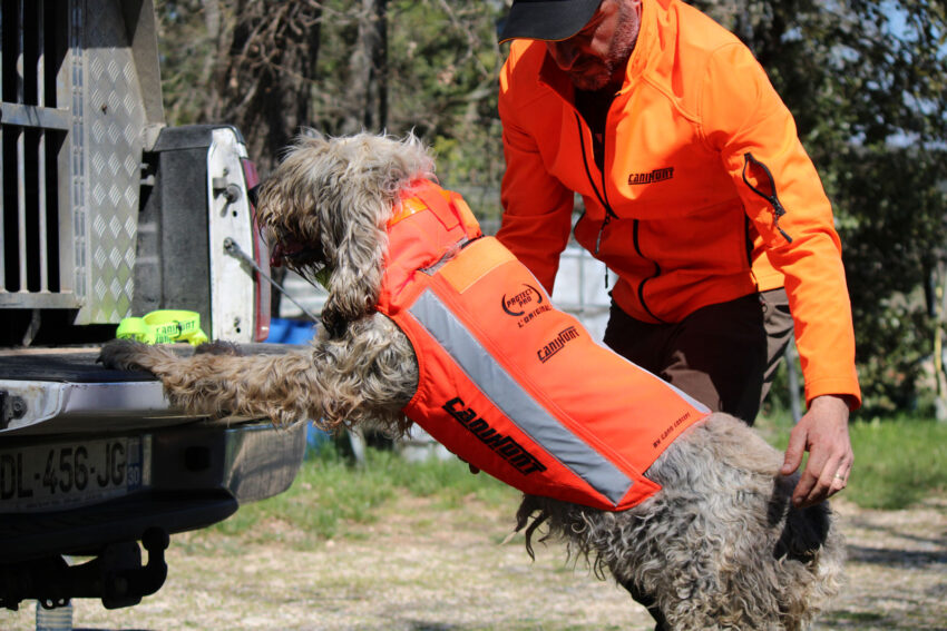 Gilet Protect PRO L’ORIGINAL ® – Image 3